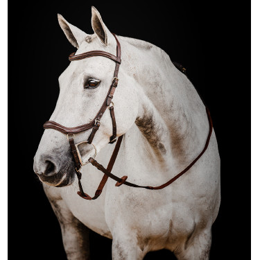 Bridon Horseware Micklem 2 Deluxe Competition Havane foncé Marron