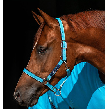 Licol Horseware Amigo Licol Horseware Amigo