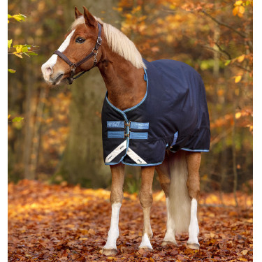 Couverture Horseware Amigo Bravo 12 Original Poney 250g Couverture Horseware Amigo Bravo 12 Original Poney 250g
