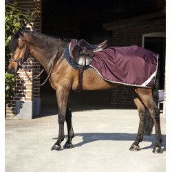 Couvre-reins Horseware Amigo Competition Ripstop