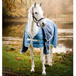 Liner Horseware 100g Eco Sarcelle eco print / gris Bleu