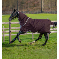 Couverture Horseware Amigo Hero Ripstop Plus avec couvre-cou 200g 600D Figue / argent Bordeaux Couverture Horseware Amigo Hero Ripstop Plus avec couvre-cou 200g 600D Figue / argent Bordeaux