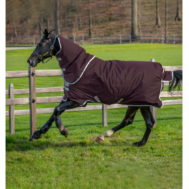 Couverture Horseware Amigo Hero Ripstop Plus avec couvre-cou 200g 600D Figue / argent Bordeaux