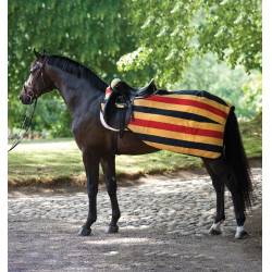 Couvre-reins Horseware Rambo polaire 0g