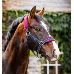 Licol Horseware Rambo doublé polaire