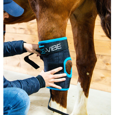 Protège-jarrets Horseware Ice-Vibe Protège-jarrets Horseware Ice-Vibe
