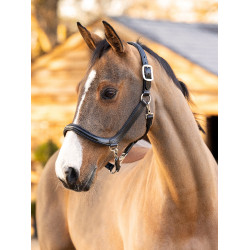 Licol de pansage LeMieux en cuir Noir