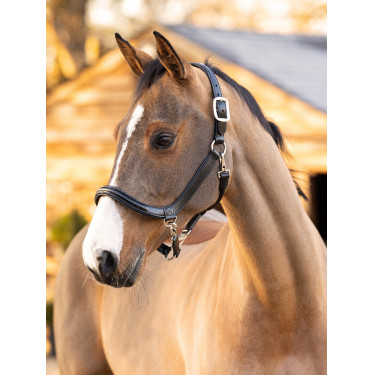 Licol de pansage LeMieux en cuir Noir