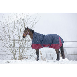 Couverture Equithème Tyrex 1200D High Neck Marine / bordeaux Bleu Couverture Equithème Tyrex 1200D High Neck Marine / bordeaux Bleu