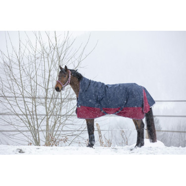 Couverture Equithème Tyrex 1200 D High Neck Couverture Equithème Tyrex 1200 D High Neck
