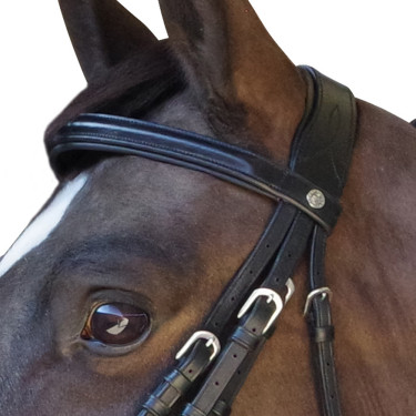 Bride Pull Back Euro Canter Bride Pull Back Euro Canter