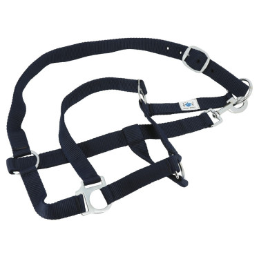 Set complet Riding World Set complet Riding World