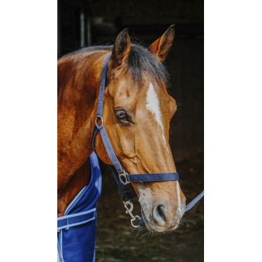 Set complet Riding World Set complet Riding World