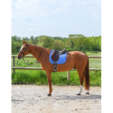 Tapis GEM Love dressage Bleu France