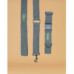 Pack Collier & Laisse GEM Kaki
