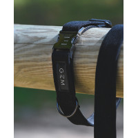 Pack Collier & Laisse GEM Kaki Pack Collier & Laisse GEM Kaki