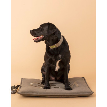 Tapis pour chien GEM 60 x 80 cm Tapis pour chien GEM 60 x 80 cm
