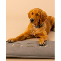 Tapis pour chien GEM 40 x 60 cm Kaki Tapis pour chien GEM 40 x 60 cm Kaki