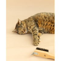 Cure-pieds GEM Cure-pieds GEM