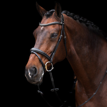Bridon HV Polo Legacy Bridon HV Polo Legacy