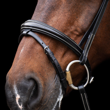 Bridon HV Polo Legacy Bridon HV Polo Legacy