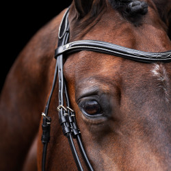 Bridon HV Polo Legacy Noir