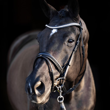 Bridon HV Polo Legacy deluxe Bridon HV Polo Legacy deluxe