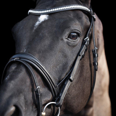 Bridon HV Polo Legacy deluxe Bridon HV Polo Legacy deluxe
