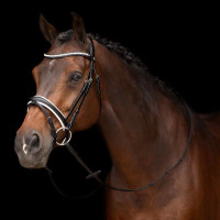 Bridon HV Polo Legacy deluxe Noir blanc