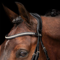Bridon HV Polo Legacy deluxe Noir