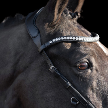 Bridon HV Polo Legacy Anatomique deluxe Bridon HV Polo Legacy Anatomique deluxe