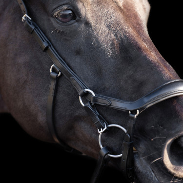 Bridon HV Polo Legacy Anatomique deluxe Bridon HV Polo Legacy Anatomique deluxe