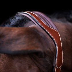 Licol HV Polo Legacy Marron