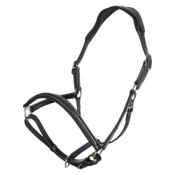 Licol HV Polo Legacy Noir