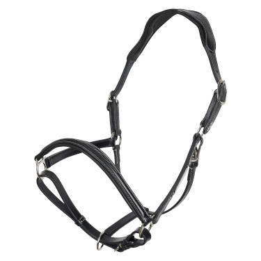 Licol HV Polo Legacy Noir