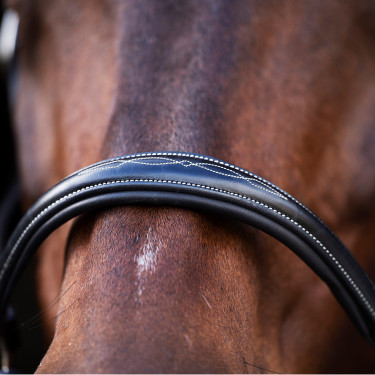 Licol HV Polo Legacy Noir Licol HV Polo Legacy Noir