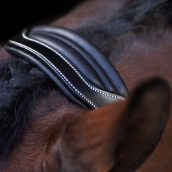 Licol HV Polo Legacy Noir