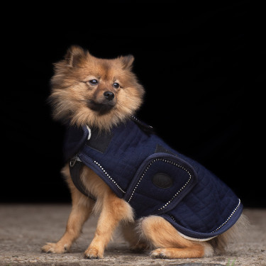 Manteau pour chien HV Polo Franka Manteau pour chien HV Polo Franka
