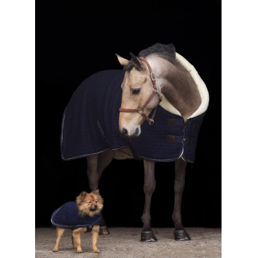 Manteau pour chien HV Polo Franka Manteau pour chien HV Polo Franka