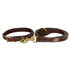 Collier du chien HV Polo Legacy Marron Collier du chien HV Polo Legacy Marron