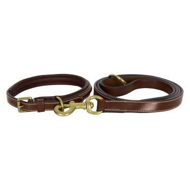 Collier du chien HV Polo Legacy Collier du chien HV Polo Legacy