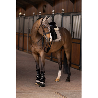 Guêtres de dressage HV Polo Francis Guêtres de dressage HV Polo Francis