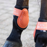 Guêtres et protège-boulets HV Polo Classic Gingembre Orange