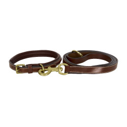 Laisse du chien HV Polo Legacy Marron