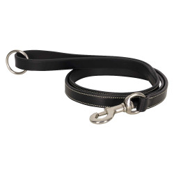 Laisse du chien HV Polo Legacy