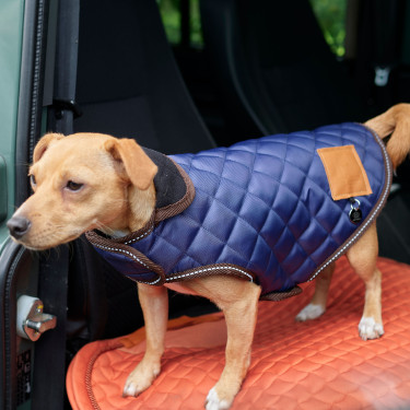 Manteau pour chien HV Polo Bobby Manteau pour chien HV Polo Bobby