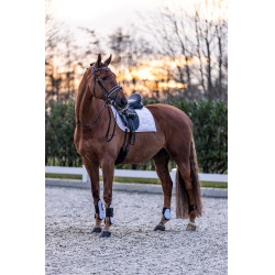 Guêtres Imperial Riding Lovely Guêtres Imperial Riding Lovely