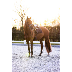 Guêtres Imperial Riding Lovely Bleu marine Guêtres Imperial Riding Lovely Bleu marine