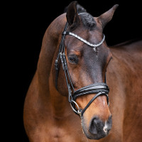 Bridon Imperial Riding Olympia Noir argent