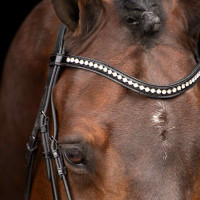 Bridon Imperial Riding Athena Noir Bridon Imperial Riding Athena Noir